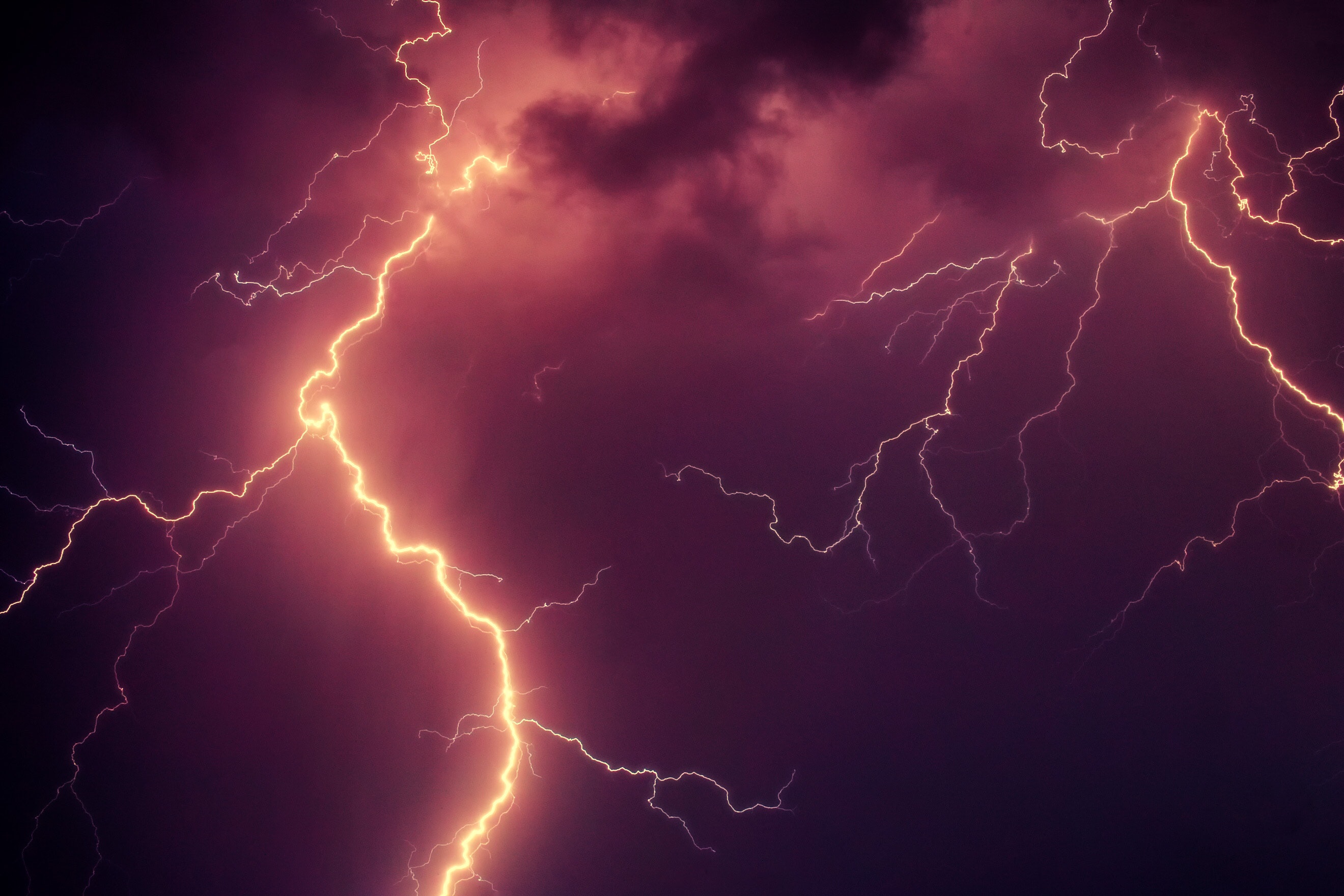 Stronger because of the Storm