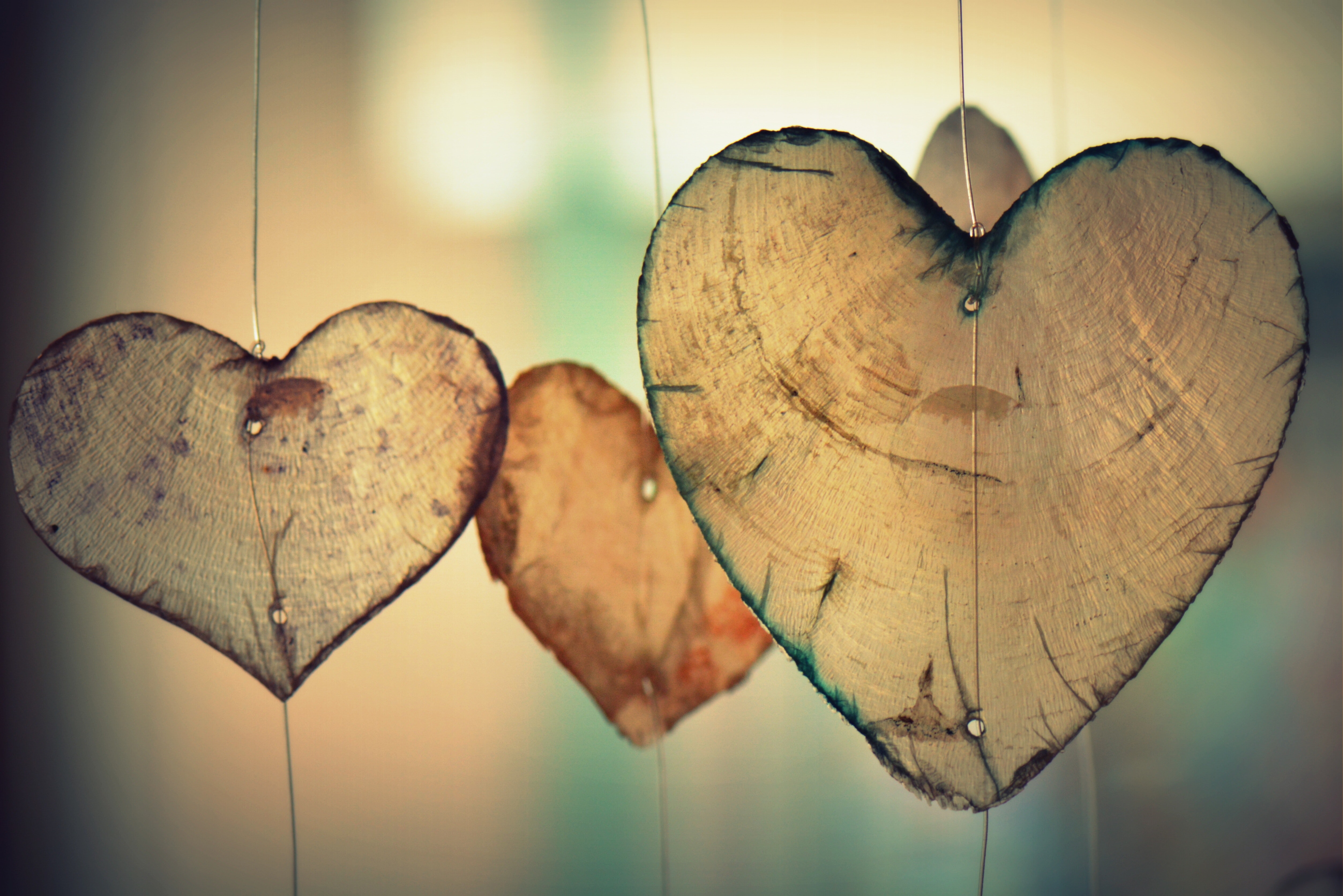 Sacrificial Love